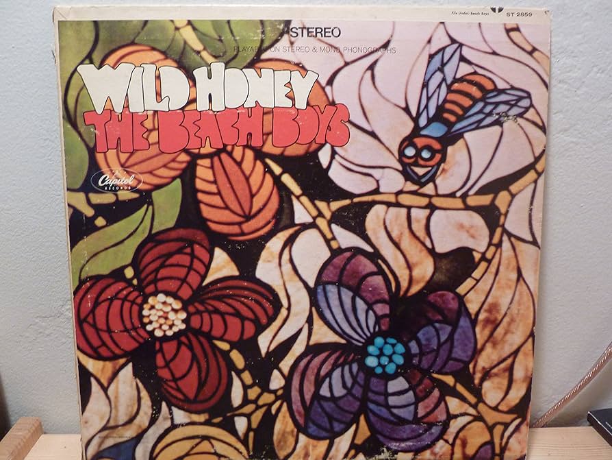 Wild Honey - EX: Beach Boys: Amazon.it: CD e Vinili}